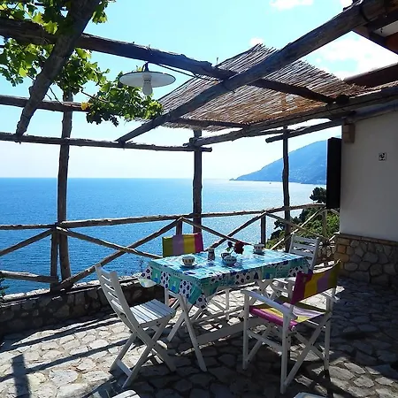 Apartamento View *