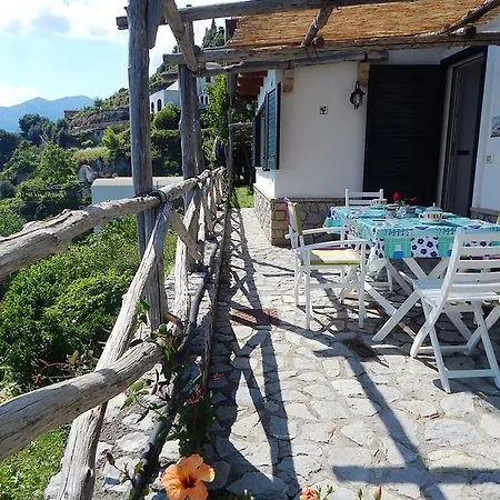 Apartman View *