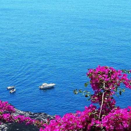 Apartamento View