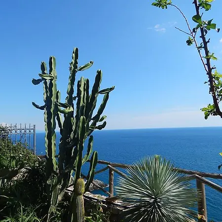 View Apartamento *